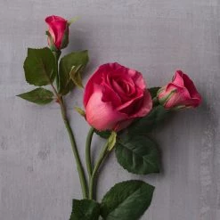 Coupon 😍 Fuchsia Rose Stem by Ashland® 🧨 -Ashland Sales 10626878 22