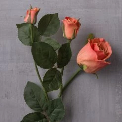 Hot Sale ❤️ Coral Rose Stem by Ashland® ⌛ -Ashland Sales 10626880 22