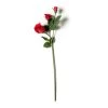 Best reviews of 👏 Red Rose Stem by Ashland® ✨ -Ashland Sales 10626884 21
