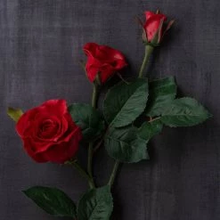 Best reviews of 👏 Red Rose Stem by Ashland® ✨ -Ashland Sales 10626884 25