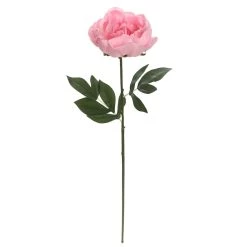 Brand new π 6 Pack: Blush Peony Stem by Ashland® π