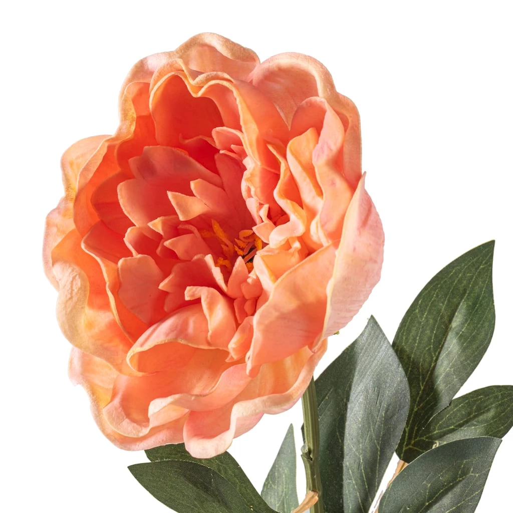 Cheap ⌛ Blush Large Peony Stem by Ashland® 🎁 5 Cheap ⌛ Blush Large Peony Stem by Ashland® 🎁 - Image 3