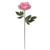 Best Sale ⭐ 6 Pack: Pink Peony Stem by Ashland® 🤩 2 Best Sale ⭐ 6 Pack: Pink Peony Stem by Ashland® 🤩 -Ashland Sales 10626888 1