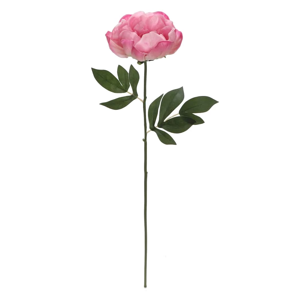 Best Sale ⭐ 6 Pack: Pink Peony Stem by Ashland® 🤩 3 Best Sale ⭐ 6 Pack: Pink Peony Stem by Ashland® 🤩