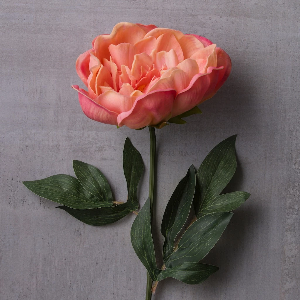 Flash Sale π Pink Large Peony Stem by Ashland® β 4 Flash Sale π Pink Large Peony Stem by Ashland® β - Image 2