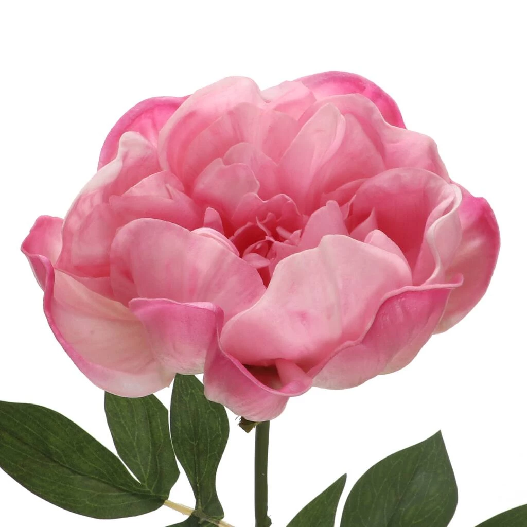 Best Sale ⭐ 6 Pack: Pink Peony Stem by Ashland® 🤩 4 Best Sale ⭐ 6 Pack: Pink Peony Stem by Ashland® 🤩 - Image 2