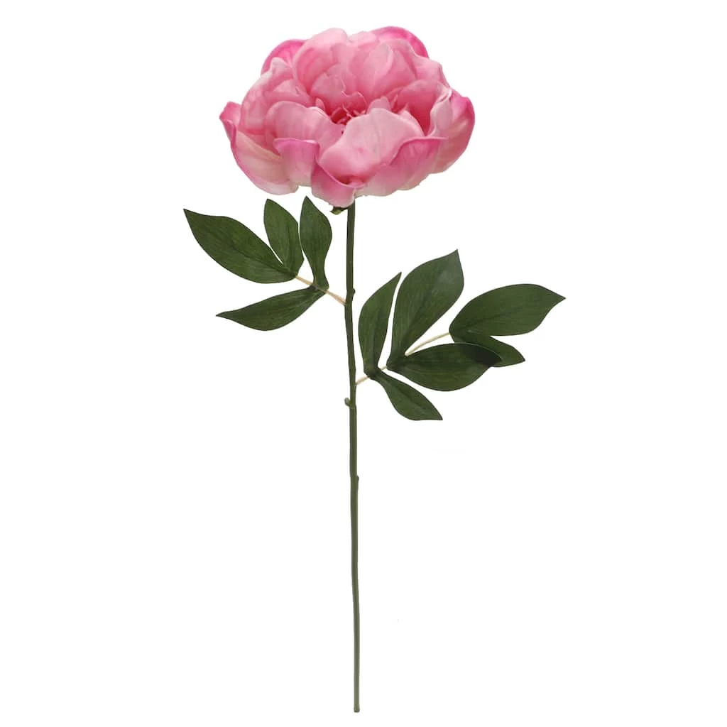 Best Sale ⭐ 6 Pack: Pink Peony Stem by Ashland® 🤩 5 Best Sale ⭐ 6 Pack: Pink Peony Stem by Ashland® 🤩 - Image 3