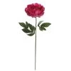 Best reviews of 🎉 6 Pack: Fuchsia Peony Stem by Ashland® 😍 -Ashland Sales 10626892 1 1