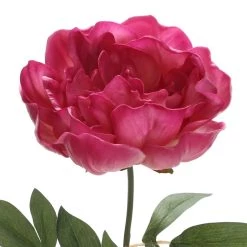 New 🌟 Fuchsia Peony Stem by Ashland® ⭐ -Ashland Sales 10626892 3