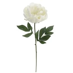 Promo 😍 White Peony Stem by Ashland® 🤩 -Ashland Sales 10626894 3