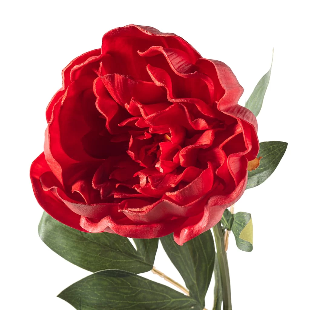 Cheap β Red Large Peony Stem by Ashland® π₯° 5 Cheap β Red Large Peony Stem by Ashland® π₯° - Image 3