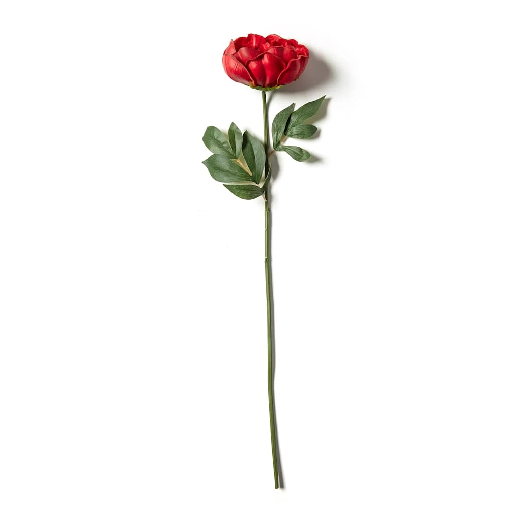 Cheap β Red Large Peony Stem by Ashland® π₯° 3 Cheap β Red Large Peony Stem by Ashland® π₯°
