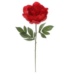 Top 10 🛒 6 Pack: Red Peony Stem by Ashland® 💯 -Ashland Sales 10626896 4