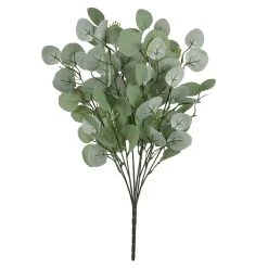 Best deal ⌛ Eucalyptus Bush by Ashland® 🥰