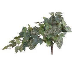 Deals 😉 Green Hanging Fittonia Bush by Ashland® ⌛