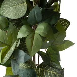 Promo 😀 6 Pack: Green Hanging Fittonia Bush by Ashland® 🤩 9 Promo 😀 6 Pack: Green Hanging Fittonia Bush by Ashland® 🤩 -Ashland Sales 10626924 20 1