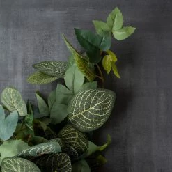 Promo 😀 6 Pack: Green Hanging Fittonia Bush by Ashland® 🤩 11 Promo 😀 6 Pack: Green Hanging Fittonia Bush by Ashland® 🤩 -Ashland Sales 10626924 25 1