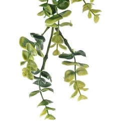 Coupon 💯 6 Pack: Green Hanging Eucalyptus Bush by Ashland® ⌛ -Ashland Sales 10626930 20