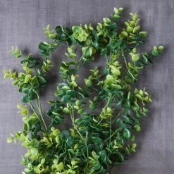 Coupon 💯 6 Pack: Green Hanging Eucalyptus Bush by Ashland® ⌛ -Ashland Sales 10626930 22