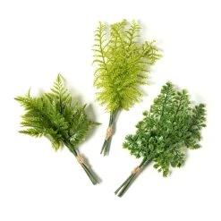 Top 10 🧨 12 Pack: Assorted Green Fern Bundle by Ashland® 😀