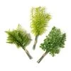 Buy ✨ Assorted Green Fern Bundle by Ashland® 💯 -Ashland Sales 10626932 21
