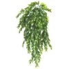 Best Sale π― Hanging Ruscus Bush by Ashland® π 2 Best Sale π― Hanging Ruscus Bush by Ashland® π -Ashland Sales 10626982 1