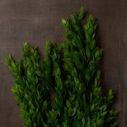 Best Sale 💯 Hanging Ruscus Bush by Ashland® 😍 -Ashland Sales 10626982 25