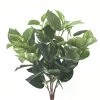 Coupon 😀 6 Pack: Green Pothos Bush by Ashland® 😍 -Ashland Sales 10626988 1 1