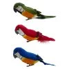 Best reviews of 🧨 12 Pack: Assorted Feather Parrots by Ashland® 🎁 -Ashland Sales 10627157 1 1