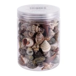 Top 10 ✨ Natural Small Sea Shell Mix by Ashland® 🥰 -Ashland Sales 10627359 1