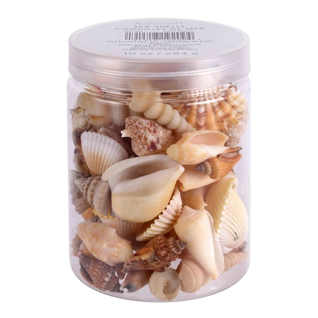 Brand new 🛒 Natural Medium Sea Shell Mix by Ashland® 💯 5 Brand new 🛒 Natural Medium Sea Shell Mix by Ashland® 💯 - Image 3