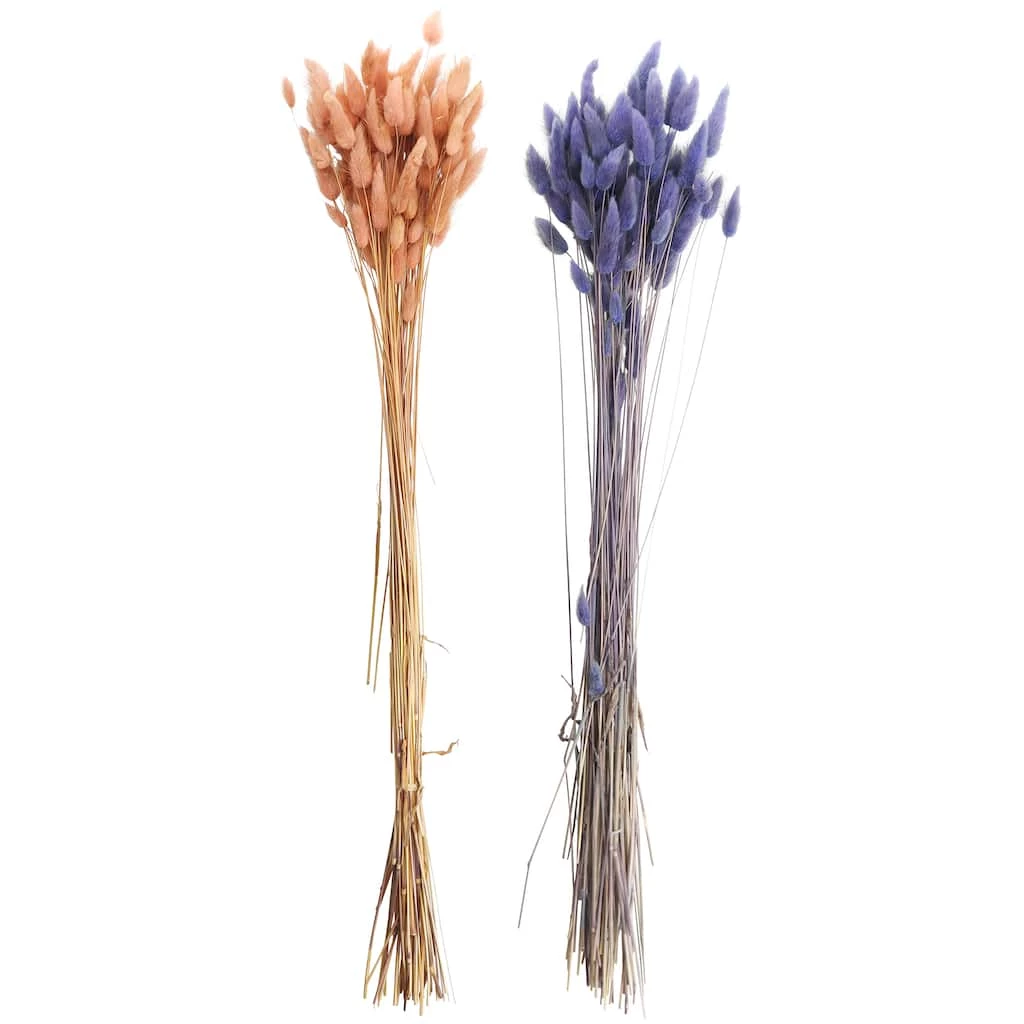 Discount 😀 8 Pack: Assorted Lagurus Bundle by Ashland® ✨ 3 Discount 😀 8 Pack: Assorted Lagurus Bundle by Ashland® ✨