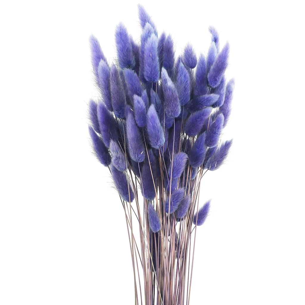 Discount 😀 8 Pack: Assorted Lagurus Bundle by Ashland® ✨ 4 Discount 😀 8 Pack: Assorted Lagurus Bundle by Ashland® ✨ - Image 2