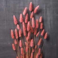 Flash Sale ✔️ Assorted Lagurus Bundle by Ashland® 👏 6 Flash Sale ✔️ Assorted Lagurus Bundle by Ashland® 👏 -Ashland Sales 10628609 22