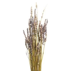 Brand new ❤️ 8 Pack: Lavender Grass Bundle by Ashland® 👍 -Ashland Sales 10628611 2