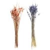 Wholesale ⌛ 8 Pack: Assorted Star Grass Bundle by Ashland® 🎉 -Ashland Sales 10628613 1