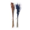 Budget 🛒 Assorted Star Grass Bundle by Ashland® 🎁 -Ashland Sales 10628613 21