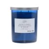 New 😀 Twilight & Currant 2-Wick Jar Candle by Ashland® 👏 -Ashland Sales 10638398 1