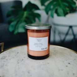 Outlet 🌟 Peony & Rose 2-Wick Jar Candle by Ashland® 🥰 -Ashland Sales 10638399 2