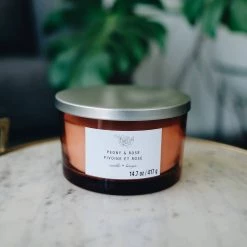 Budget 🥰 Peony & Rose 3-Wick Jar Candle by Ashland® 😀 -Ashland Sales 10638413 2