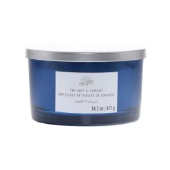 New 🔥 Twilight & Currant 3-Wick Jar Candle by Ashland® ✨