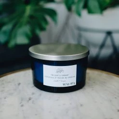 Budget ❤️ 8 Pack: Twilight & Currant 3-Wick Jar Candle by Ashland® 🔥 -Ashland Sales 10638416 2 1