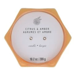 Best deal 🔥 Citrus & Amber 2-Wick Jar Candle by Ashland® ⌛