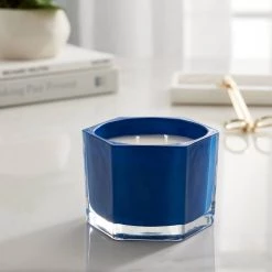 Best deal 🤩 Blue Plum & Currant 2-Wick Jar Candle by Ashland® 👍 -Ashland Sales 10638425 20