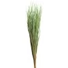 Cheapest ⌛ 8 Pack: Green Magnolia Flax Grass Bundle by Ashland® 🔥 -Ashland Sales 10646374 1