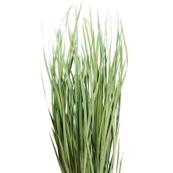 Cheapest ⌛ 8 Pack: Green Magnolia Flax Grass Bundle by Ashland® 🔥 -Ashland Sales 10646374 2