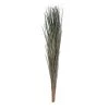 Brand new 🔥 Green Magnolia Flax Grass Bundle by Ashland® 👍 -Ashland Sales 10646374 21