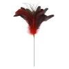 Wholesale 🤩 Red Peacock Feather Pick by Ashland® 🌟 -Ashland Sales 10656544 1