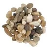 Coupon 🤩 16 Pack: Mini Rocks by Ashland® 😉 -Ashland Sales 10662179 2 1