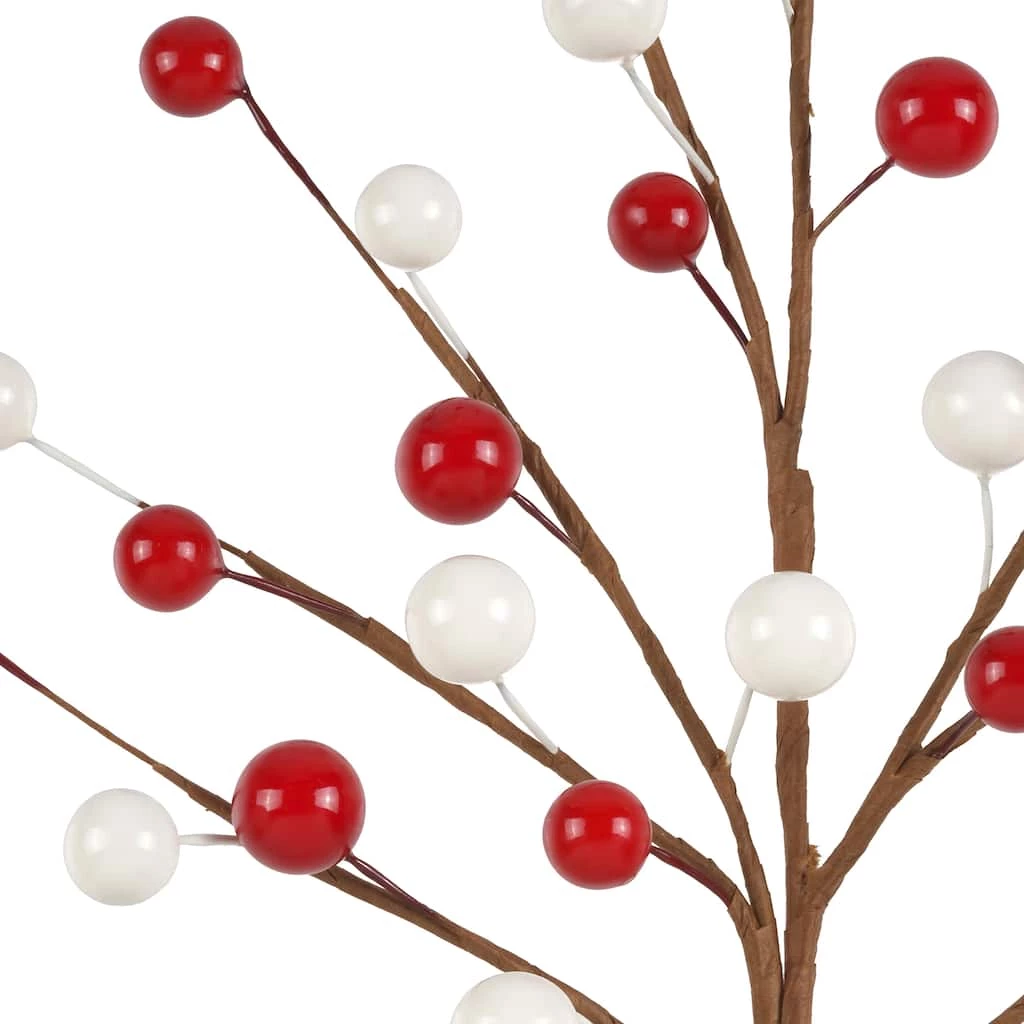 Buy ⌛ Red & White Berry Pick by Ashland® 👏 4 Buy ⌛ Red & White Berry Pick by Ashland® 👏 - Image 2